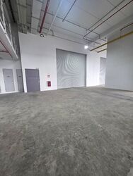 Ct Foodnex (D25), Factory #498212901